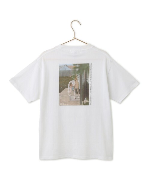 ROPE' PICNIC(ロペピクニック)の「【DOG MAGAZINE×ROPE' PICNIC】DOGフォトTシャツ(Tシャツ/カットソー・レディース・ホワイト系その他/ホワイト系その他2/ホワイト系その他4・FREE)」の14枚目の写真