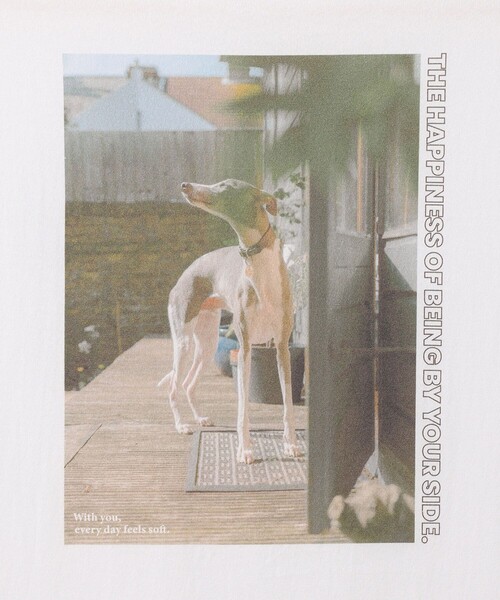 ROPE' PICNIC(ロペピクニック)の「【DOG MAGAZINE×ROPE' PICNIC】DOGフォトTシャツ(Tシャツ/カットソー・レディース・ホワイト系その他/ホワイト系その他2/ホワイト系その他4・FREE)」の15枚目の写真