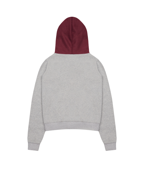 LUVISTRUE(ラヴイズトゥルー)の「EV ANGEL HOOD TEE(GRAY)(パーカー・レディース・その他・FREE)」の3枚目の写真