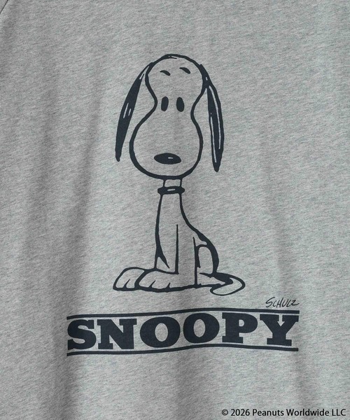 LOWRYS FARM(ローリーズファーム)の「【LFM(U)】PEANUTSプリントTロングスリーブ 1063429(Tシャツ/カットソー・メンズ・ブラウン/グレー/ライトブルー・LARGE/MEDIUM)」の11枚目の写真