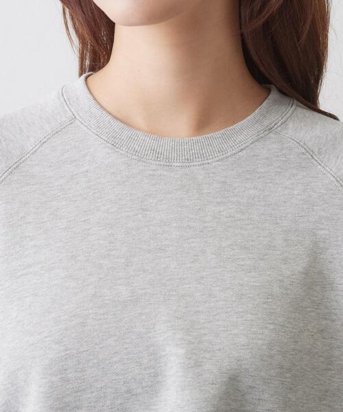 DRESSTERIOR(ドレステリア)の「レースドッキング裏毛プルオーバー(Tシャツ/カットソー・レディース・ライトグレー/ブラウン系その他・36/38)」の6枚目の写真