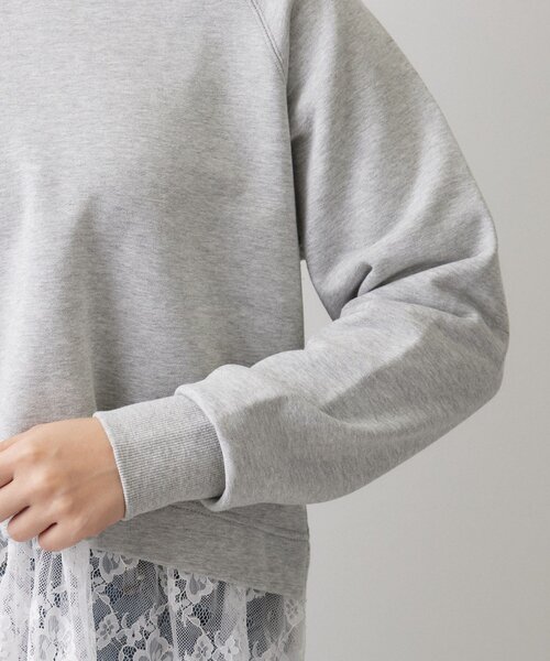 DRESSTERIOR(ドレステリア)の「レースドッキング裏毛プルオーバー(Tシャツ/カットソー・レディース・ライトグレー/ブラウン系その他・36/38)」の7枚目の写真
