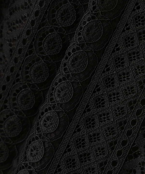 N.(N. Natural Beauty Basic)(エヌエヌナチュラルビューティーベーシック)の「レースシャーリングネックブラウス(シャツ/ブラウス・レディース・ブラック/ホワイト/ブルー・MEDIUM)」の20枚目の写真