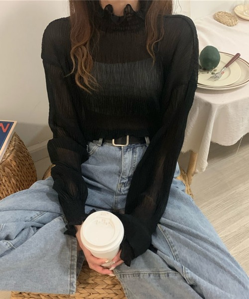 Chaco closet(チャコ クローゼット)の「シアーフリルハイネックシフォンブラウス(Tシャツ/カットソー・レディース・アイボリー/ブラック/ホワイト・FREE)」の17枚目の写真