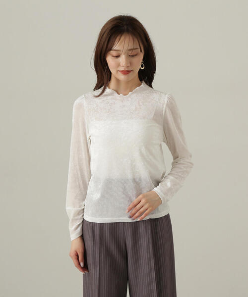 PROPORTION BODY DRESSING（プロポーションボディドレッシング）の「ベロアカットソー / 1214260908（Tシャツ/カットソー・レディース・ブラック/ホワイト系その他・FREE）」の15枚目の写真