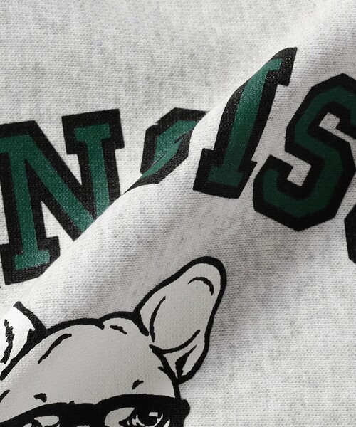 fLAnsisCA（フランシスカ）の「fLAnsisCA / Print Crewneck Sweat 25AW（スウェット・メンズ・ライトグレー/ネイビー・S/M/L/XL）」の4枚目の写真