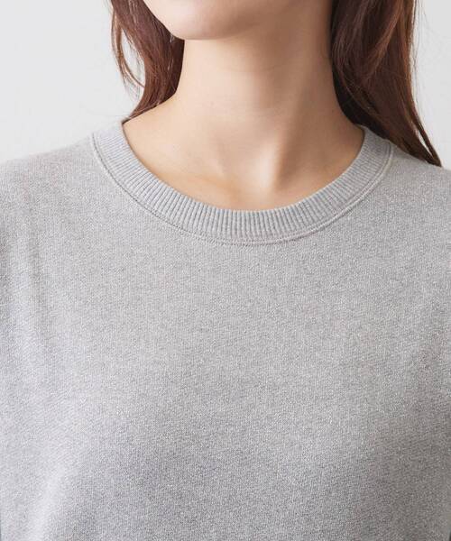 DRESSTERIOR（ドレステリア）の「ラメ裏毛 プルオーバー（Tシャツ/カットソー・レディース・ベージュ/グレー・34/38/36）」の15枚目の写真
