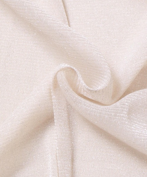 hunch(ハンチ)の「【WEB限定/別注】クルーネック ラメシアートップス(Tシャツ/カットソー・レディース・ミント/チャコール/グレー/オフホワイト・FREE)」の13枚目の写真