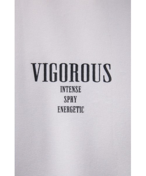 AZUL by moussy（アズールバイマウジー）の「VIGOROUSビッグTシャツ（Tシャツ/カットソー・メンズ・ブラック/ホワイト/ライトグレー/グリーン・FREE）」の13枚目の写真