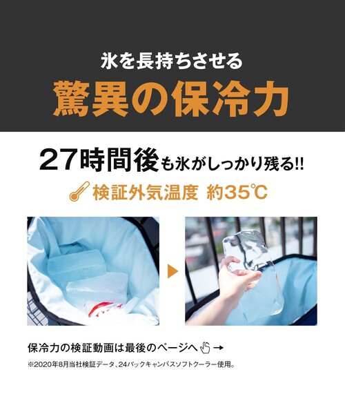☆送料無料 5年 AO Coolers エーオークーラーズ ニック 釣り 749 Amazon | AO Coolers (エーオークーラーズ) 12パック カーボン