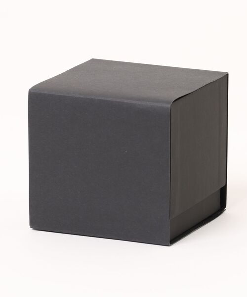 ARMANI EXCHANGE(アルマーニエクスチェンジ)の「アルマーニ・エクスチェンジ 腕時計 レディース アナログ ステンレス AX4621(アナログ腕時計・レディース・ブラック・FREE)」の15枚目の写真