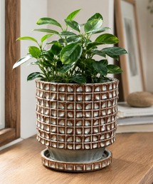 MILLION CARATS（ミリオンカラッツ）の「【鉢底穴・受け皿付き】YARD inc - CUBIC pot & saucer - 格子模様と釉薬の表情を楽しむ約3～5号対応のセラミック植木鉢シリーズ　※Mサイズ（フラワーベース）」