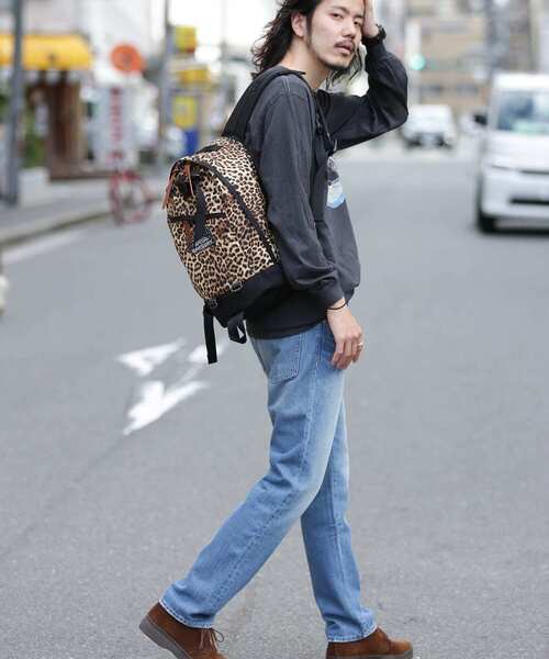 GREGORY（グレゴリー）の「GREGORY　Fine Day（バックパック/リュック・メンズ・アニマル・ONE）」の17枚目の写真