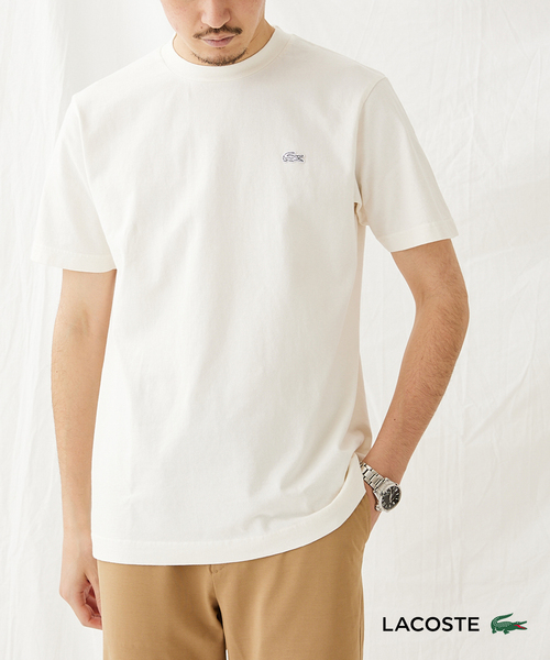 LACOSTE(ラコステ)の「【LACOSTE/ラコステ】ボディーサイズ ピグメント Tシャツ(Tシャツ/カットソー・メンズ・ホワイト/ブラック/ネイビー/ベージュ・3/5/4)」の2枚目の写真