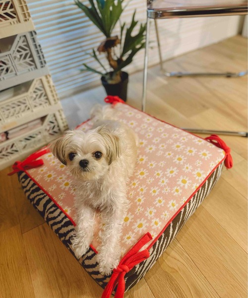 Casselini HOME(キャセリーニ ホーム)ニットザブクッション（クッション/クッションカバー）｜Casselini（キャセリーニ）