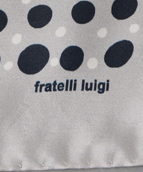 Fratelli Luigi(フラテッリルイージ)の「<FRATELLI LUIGI> ランダム ドットプリント ポケットチーフ(ポケットチーフ・メンズ・グレー/コバルトブルー・FREE)」の6枚目の写真