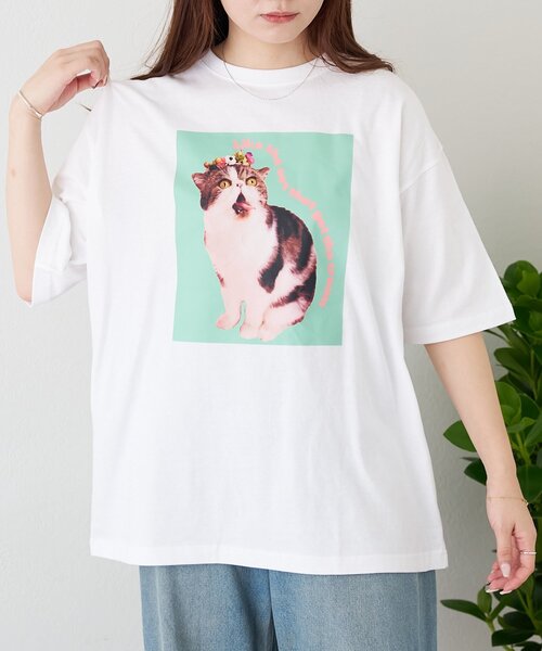 BIRTHDAY BAR(バースデイバー)の「Pechanko Cats Tシャツ(Tシャツ/カットソー・レディース・イエロー/グリーン/ブルー・0)」の2枚目の写真