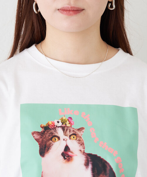 BIRTHDAY BAR(バースデイバー)の「Pechanko Cats Tシャツ(Tシャツ/カットソー・レディース・イエロー/グリーン/ブルー・0)」の11枚目の写真