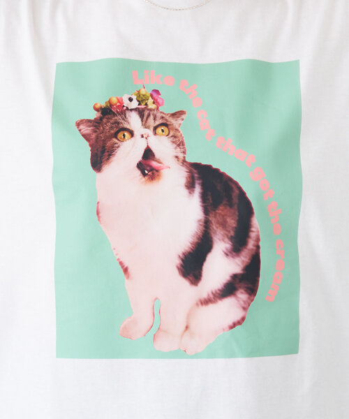 BIRTHDAY BAR(バースデイバー)の「Pechanko Cats Tシャツ(Tシャツ/カットソー・レディース・イエロー/グリーン/ブルー・0)」の12枚目の写真