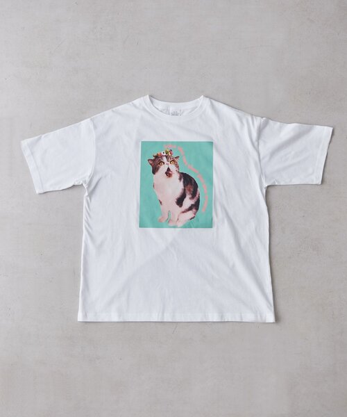 BIRTHDAY BAR(バースデイバー)の「Pechanko Cats Tシャツ(Tシャツ/カットソー・レディース・イエロー/グリーン/ブルー・0)」の15枚目の写真