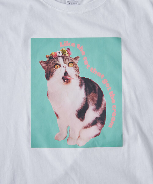 BIRTHDAY BAR(バースデイバー)の「Pechanko Cats Tシャツ(Tシャツ/カットソー・レディース・イエロー/グリーン/ブルー・0)」の16枚目の写真