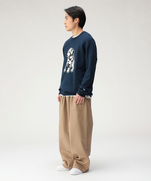 fLAnsisCA / Jacquard Knit 21 | APPS-BICENTENARIO-PRD-01 