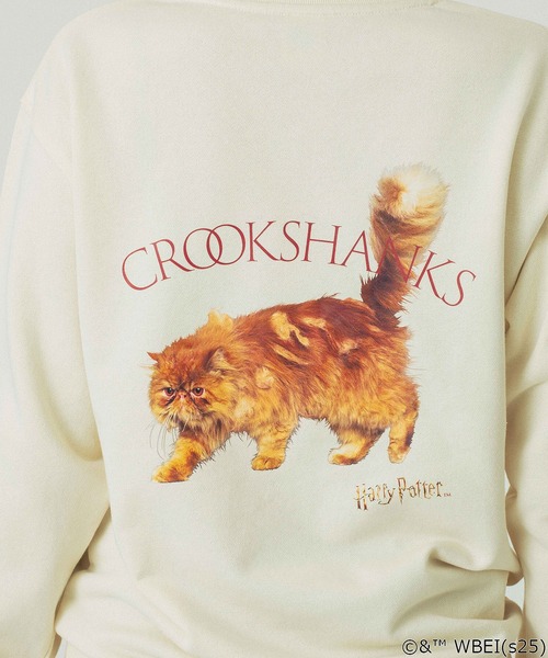 ROSE BUD(ローズバッド)の「(COLSUN)CROOKSHANKS SWEATSHIRTS(スウェット・レディース・オフホワイト・M)」の15枚目の写真