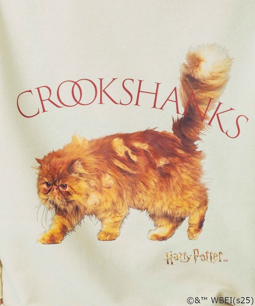 ROSE BUD(ローズバッド)の「(COLSUN)CROOKSHANKS SWEATSHIRTS(スウェット・レディース・オフホワイト・M)」の16枚目の写真