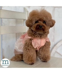ペットウェア 犬服 ドッグウェア ワンピース」に該当するペットグッズ