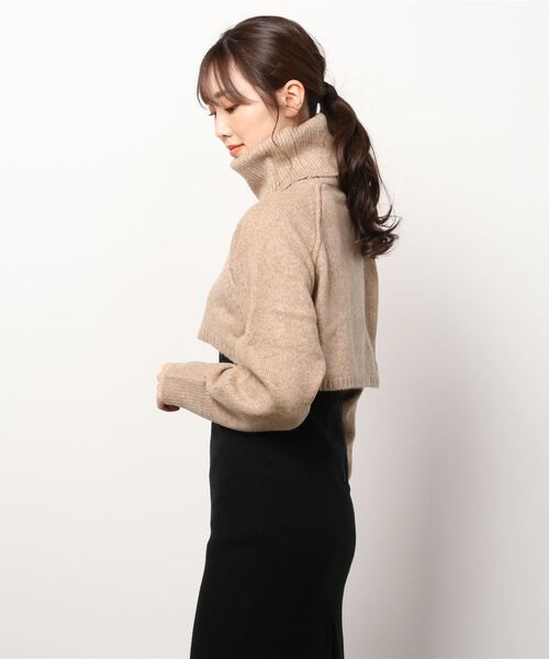 Shelly island（シェリーアイランド）の「タートルショートニット（ニット/セーター・レディース・ブラック/ベージュ・M）」の8枚目の写真