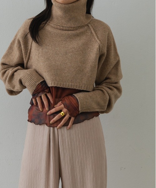 Shelly island（シェリーアイランド）の「タートルショートニット（ニット/セーター・レディース・ブラック/ベージュ・M）」の17枚目の写真