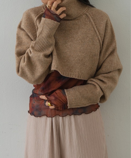 Shelly island（シェリーアイランド）の「タートルショートニット（ニット/セーター・レディース・ブラック/ベージュ・M）」の18枚目の写真