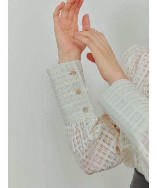Ayla(アイラ)の「cross check sheer blouse(シャツ/ブラウス・レディース・ブラック/ライトグリーン/アイボリー・FREE)」の9枚目の写真