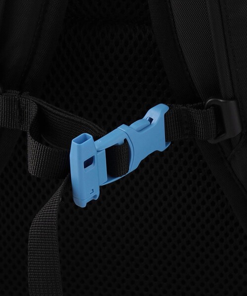 ノースフェイス キッズ リュック サニーキャンパー 40L ブルー Amazon | [ザノースフェイス] リュック キッズ サニーキャンパー