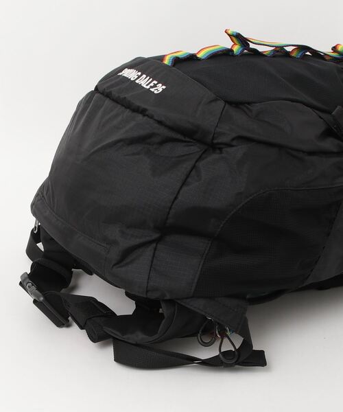 CHUMS SPRING DALE 25 ブラック リュック Amazon | [チャムス] バックパック Spring Dale 30 Black
