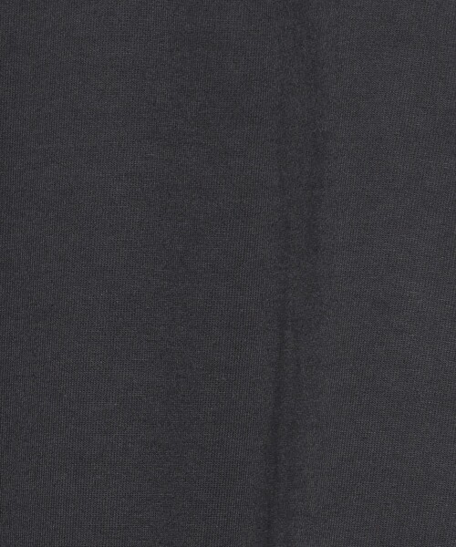 H BEAUTY&YOUTH UNITED ARROWS(エイチビューティーアンドユースユナイテッドアローズ)の「<H>ヘビーハイブリッドコットン クルーネック(Tシャツ/カットソー・メンズ・ブラック/ライトグレー・S/M/L)」の9枚目の写真