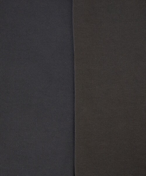 H BEAUTY&YOUTH UNITED ARROWS(エイチビューティーアンドユースユナイテッドアローズ)の「<H>ヘビーハイブリッドコットン クルーネック(Tシャツ/カットソー・メンズ・ブラック/ライトグレー・S/M/L)」の22枚目の写真