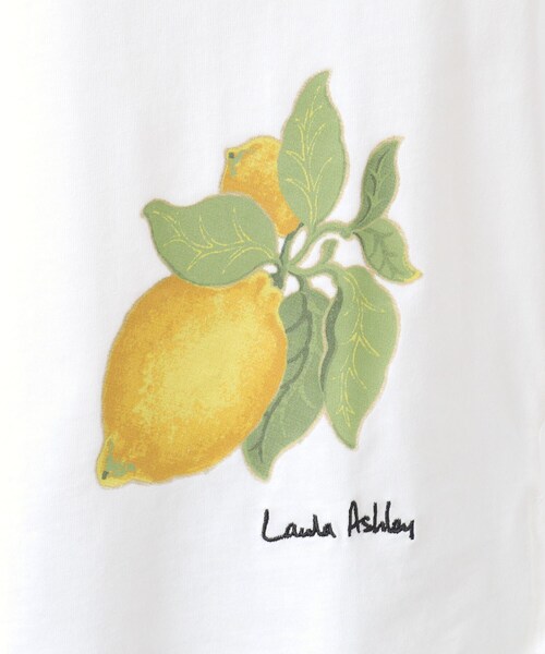 LAURA ASHLEY（ローラアシュレイ）の「【接触冷感/UVカット／コットン100％】レモン グローブ柄 Tシャツ（Tシャツ/カットソー・レディース・サックスブルー/オフホワイト・40/38）」の13枚目の写真