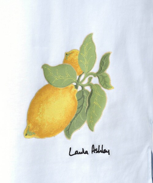 LAURA ASHLEY（ローラアシュレイ）の「【接触冷感/UVカット／コットン100％】レモン グローブ柄 Tシャツ（Tシャツ/カットソー・レディース・サックスブルー/オフホワイト・40/38）」の9枚目の写真