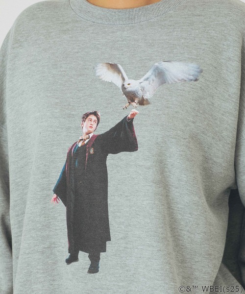 ROSE BUD(ローズバッド)の「(COLSUN)HARRY HEDWIG SWEATSHIRTS(スウェット・レディース・グレー・M)」の16枚目の写真