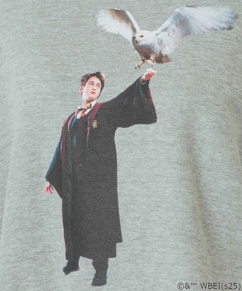 ROSE BUD(ローズバッド)の「(COLSUN)HARRY HEDWIG SWEATSHIRTS(スウェット・レディース・グレー・M)」の17枚目の写真