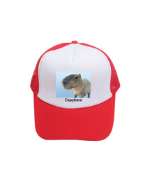 ARIGHTANGLE（アライトアングル）の「Capybara trucker cap (7 Color)（キャップ）」