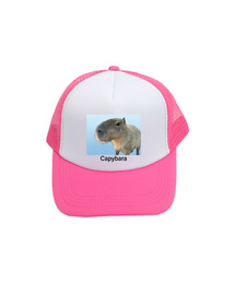 ARIGHTANGLE（アライトアングル）の「Capybara trucker cap (7 Color)（キャップ）」