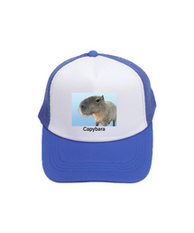 ARIGHTANGLE（アライトアングル）の「Capybara trucker cap (7 Color)（キャップ）」