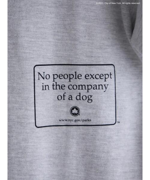 AMERICAN HOLIC(アメリカンホリック)の「THE CITY OF NEW YORK TEE(Tシャツ/カットソー・レディース・ライトグレー・L/M)」の17枚目の写真