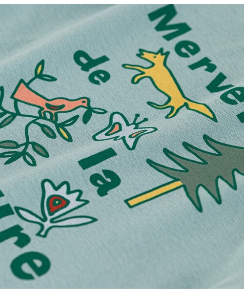 PETIT BATEAU(プチバトー)の「プリント長袖Tシャツ(Tシャツ/カットソー・キッズ・ホワイト×グリーン/ライトピンク/ライトグリーン/オフホワイト・4YEAR/5YEAR/3YEAR)」の6枚目の写真