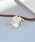 utatane�i�E�^�^�l�j�́u�ђ��� utatane �}�U�[�I�u�p�[�����t�����[�y�^�� ���{���i�a�������j�v�b�u���E��