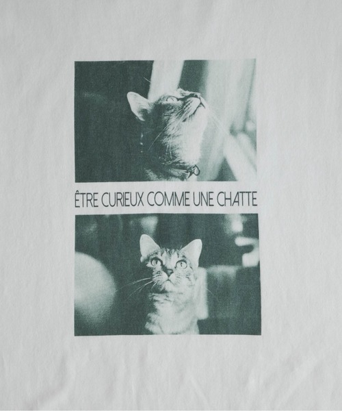 NOMBRE IMPAIR（ノンブルアンペール）の「猫フォトPT　ロンTEE（Tシャツ/カットソー・レディース・ホワイト・FREE）」の14枚目の写真
