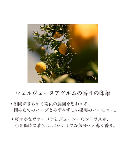 L'OCCITANE（ロクシタン）の「ヴェルヴェーヌアグルム[シトラスヴァーベナ] オードトワレ 75mL 香水（香水・レディース・その他・FREE）」の2枚目の写真