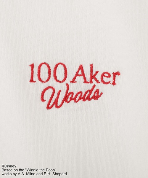 Green Parks(グリーンパークス)の「Winnie the Pooh/ランダムロゴTシャツ(ニット/セーター・レディース・オフホワイト・FREE)」の10枚目の写真